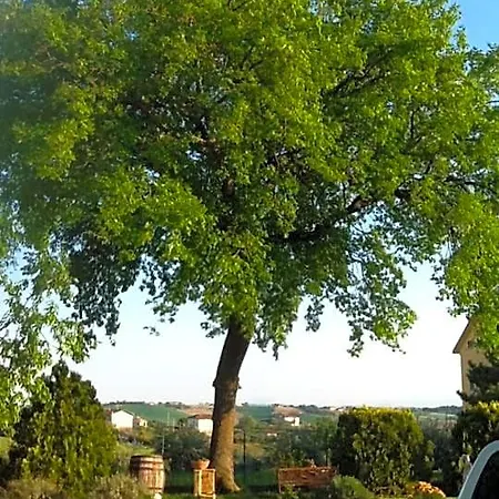 Affittacamere Le Querce