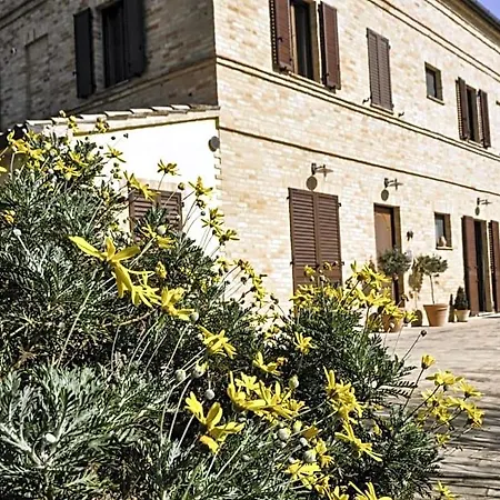 Affittacamere Le Querce 3* Montefano