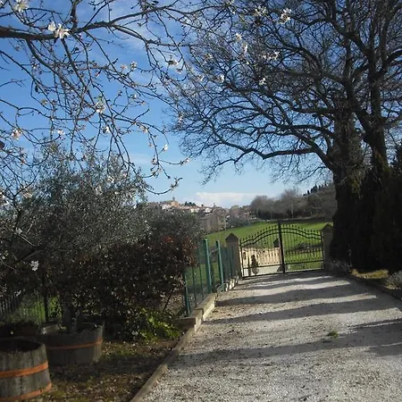 Affittacamere Le Querce Montefano